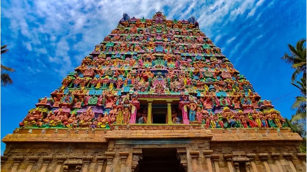 Naadi Astrology Palm Leaves